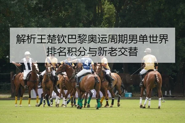 解析王楚钦巴黎奥运周期男单世界排名积分与新老交替